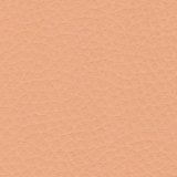 ES03