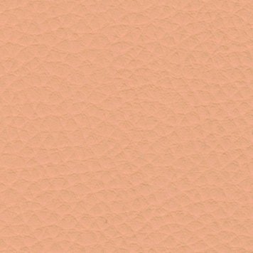 Potahová tkanina Eko kůže, kód barevného odstínu 03