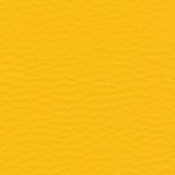 ES06